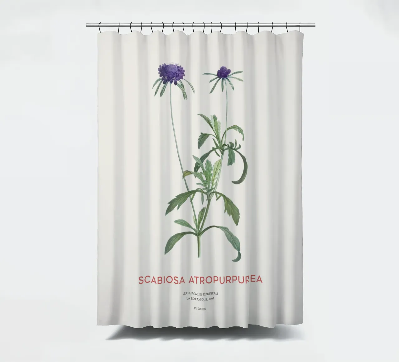 Fiore a puntaspilli o Scabiosa atropurpurea tenda da doccia da Vintagrafica
