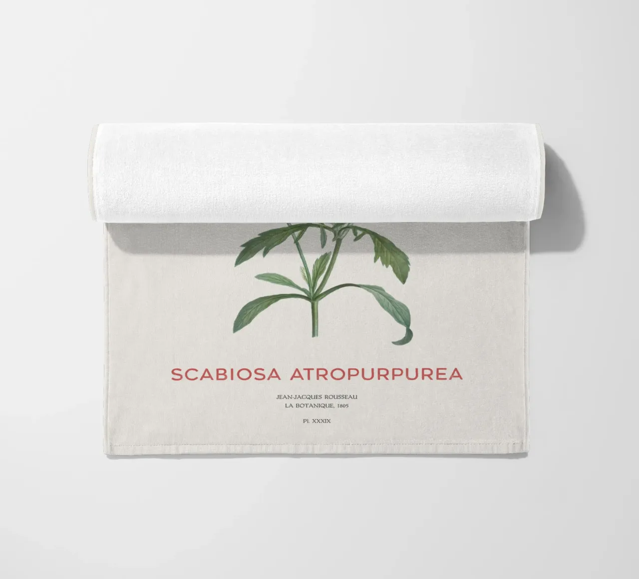 Fiore a puntaspilli o Scabiosa atropurpurea telo mare da Vintagrafica