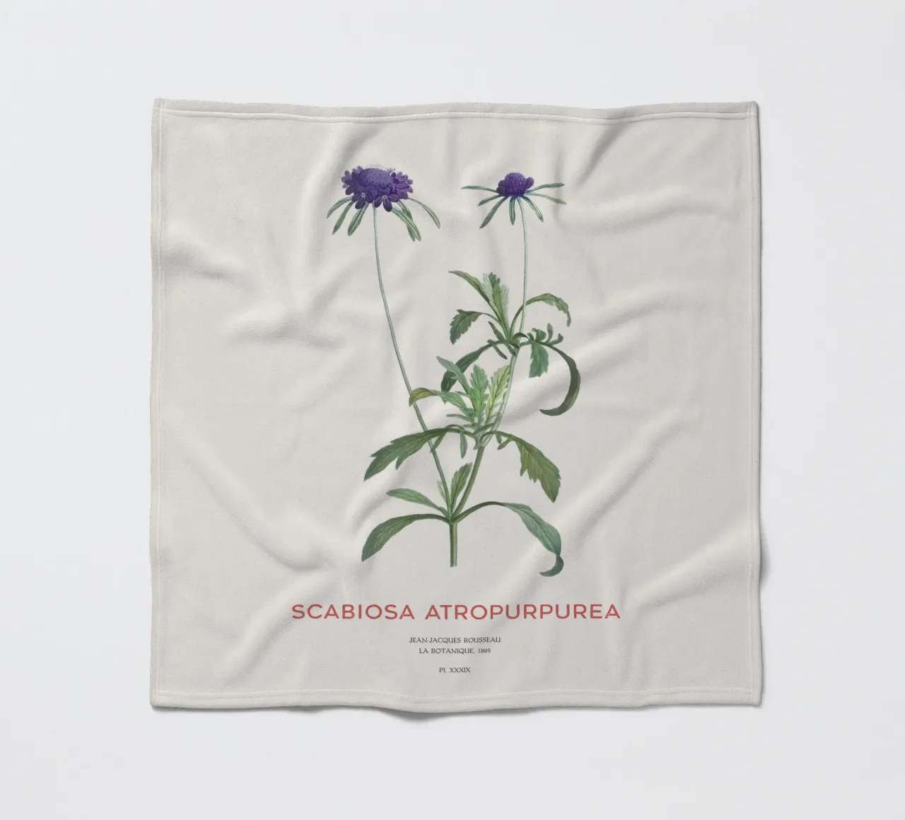 Fiore a puntaspilli o Scabiosa atropurpurea coperta in pile da Vintagrafica
