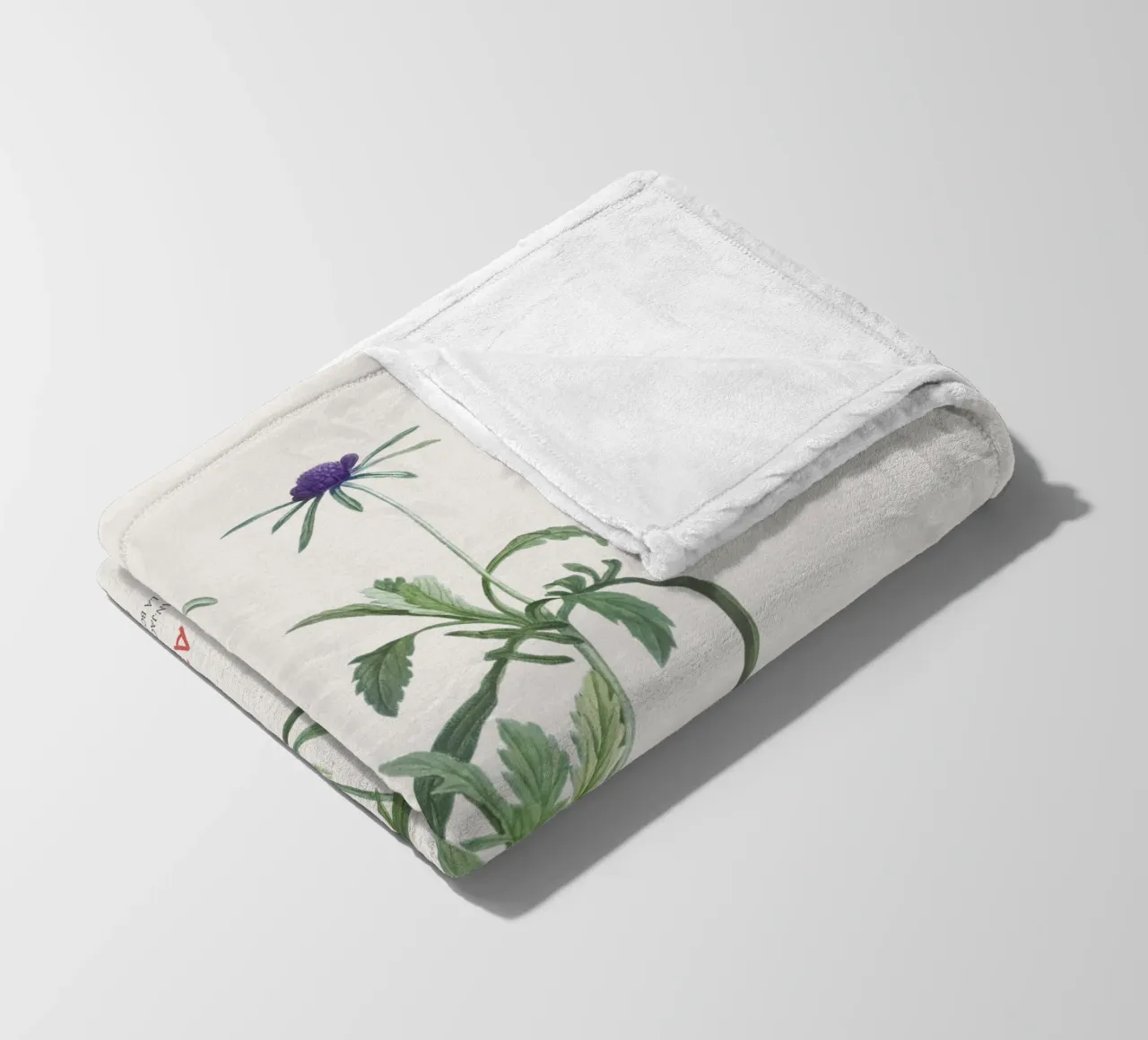 Fiore a puntaspilli o Scabiosa atropurpurea coperta in pile da Vintagrafica