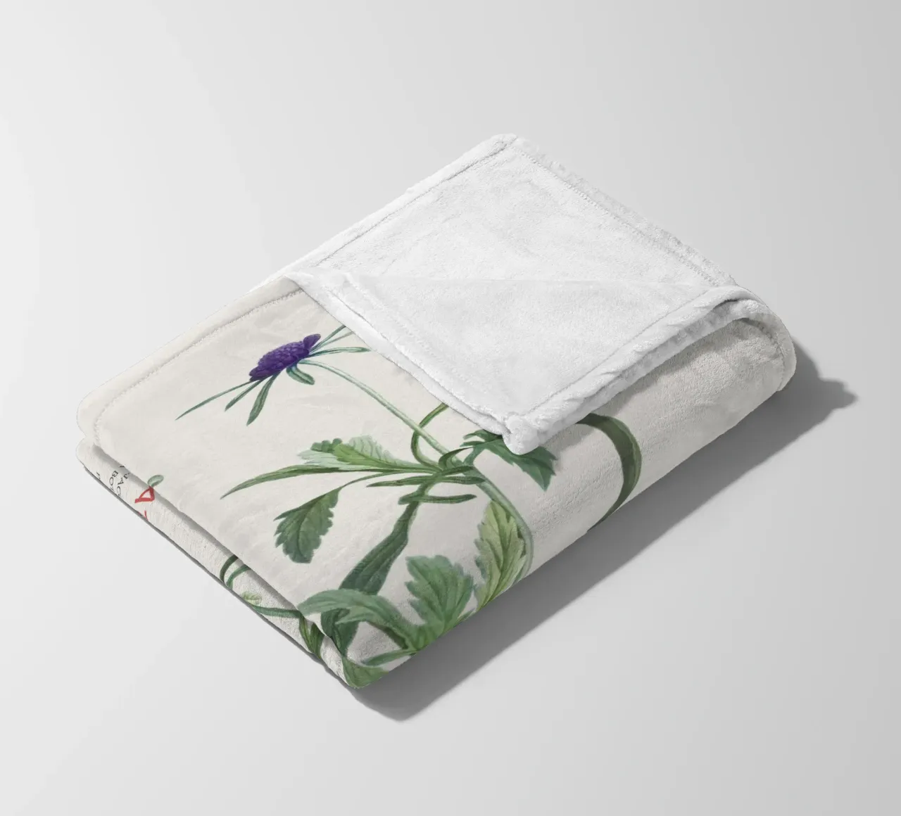 Fiore a puntaspilli o Scabiosa atropurpurea coperta in pile da Vintagrafica
