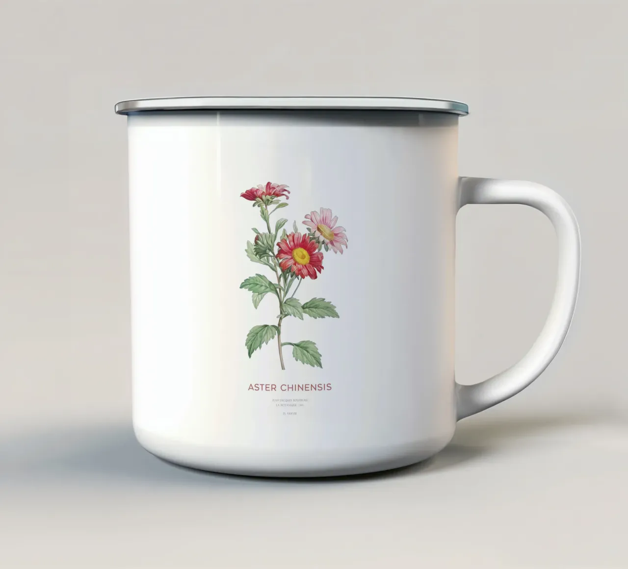 Astro della Cina o Callistephus chinensis tazza in smalto da Vintagrafica