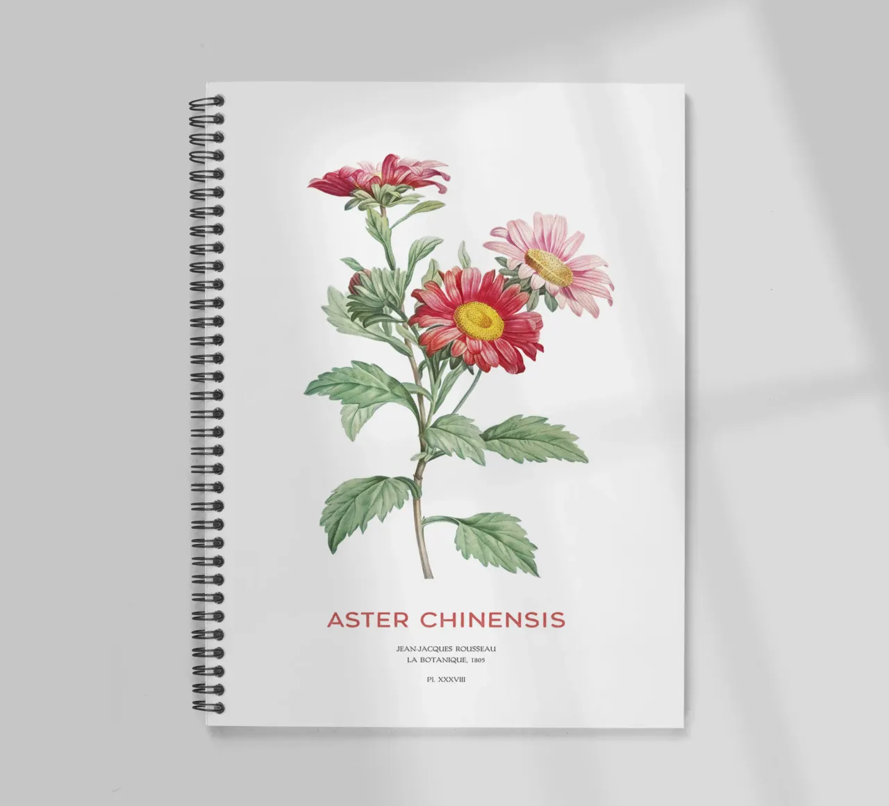 Chinaaster of Callistephus chinensis notitieboek met spiraal van Vintagrafica