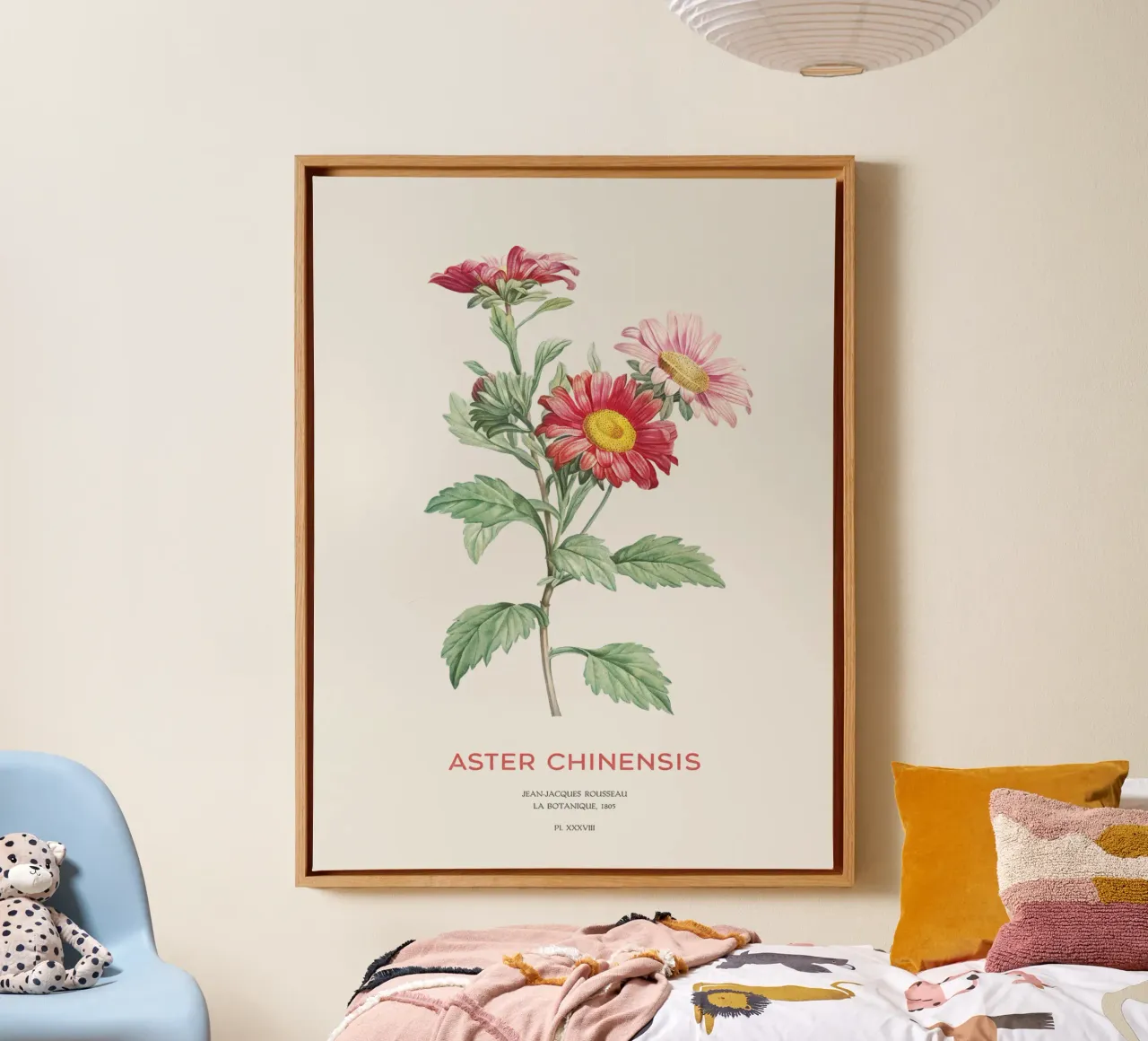 Chinaaster of Callistephus chinensis canvas van Vintagrafica