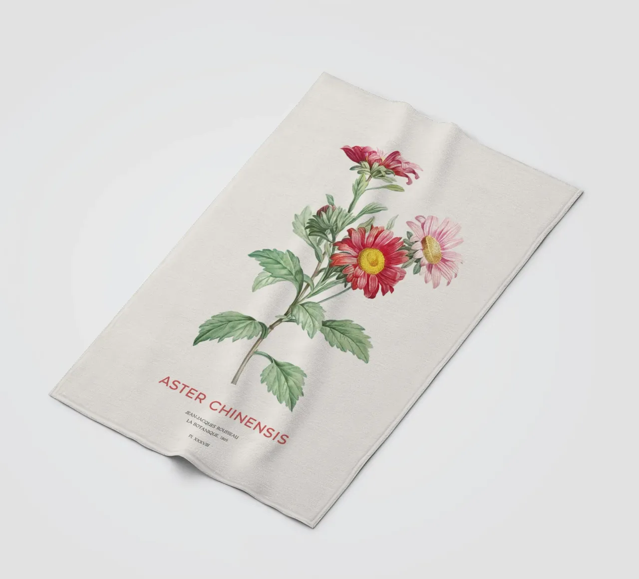China aster or Callistephus chinensis fleece blanket by Vintagrafica