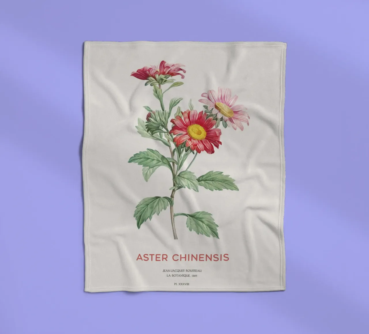 China aster or Callistephus chinensis fleece blanket by Vintagrafica