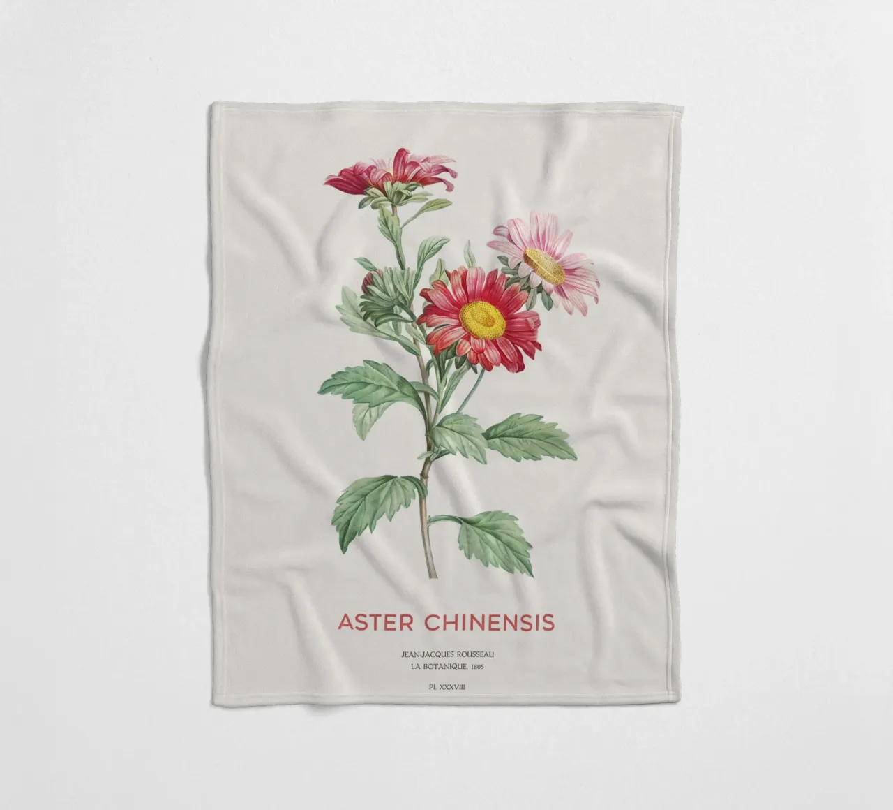 China aster or Callistephus chinensis fleece blanket by Vintagrafica