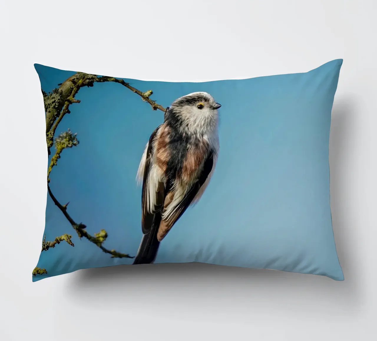 Cinciallegra a coda lunga cuscino da Tom's Wildlife