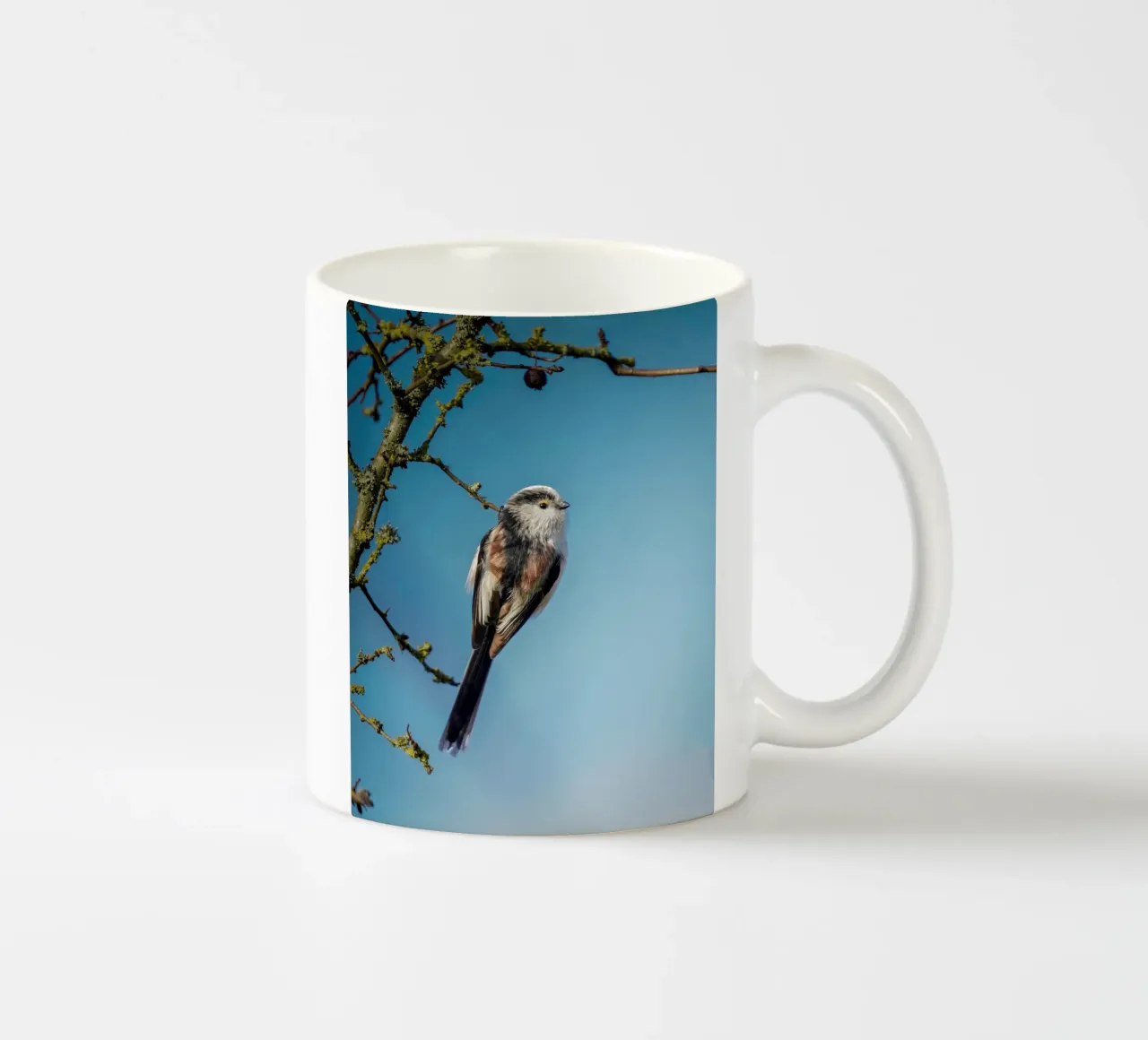 Cinciallegra a coda lunga tazza in ceramica da Tom's Wildlife