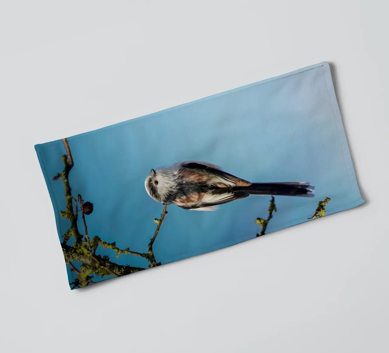 Cinciallegra a coda lunga asciugamano da bagno da Tom's Wildlife
