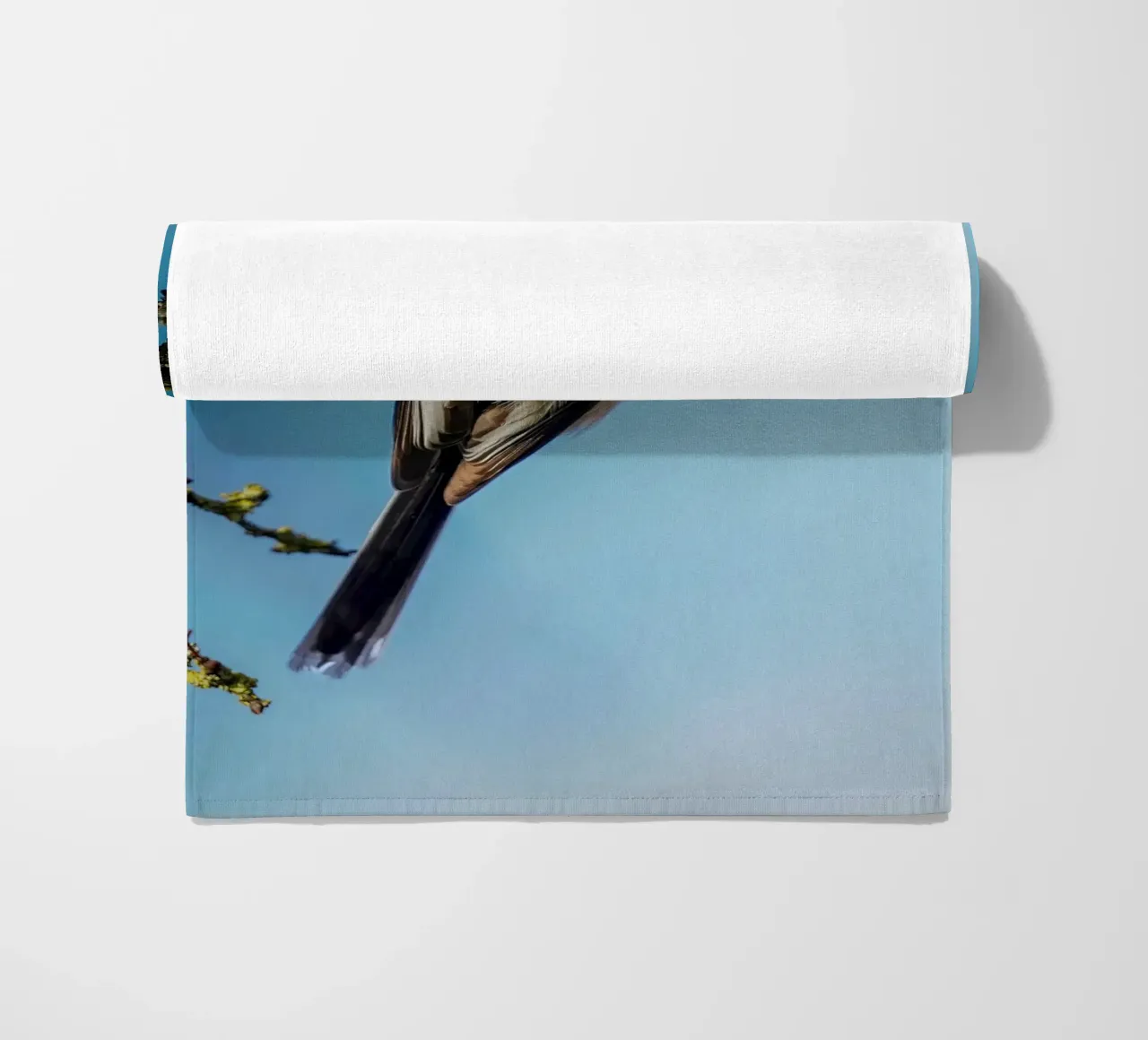 Cinciallegra a coda lunga telo mare da Tom's Wildlife