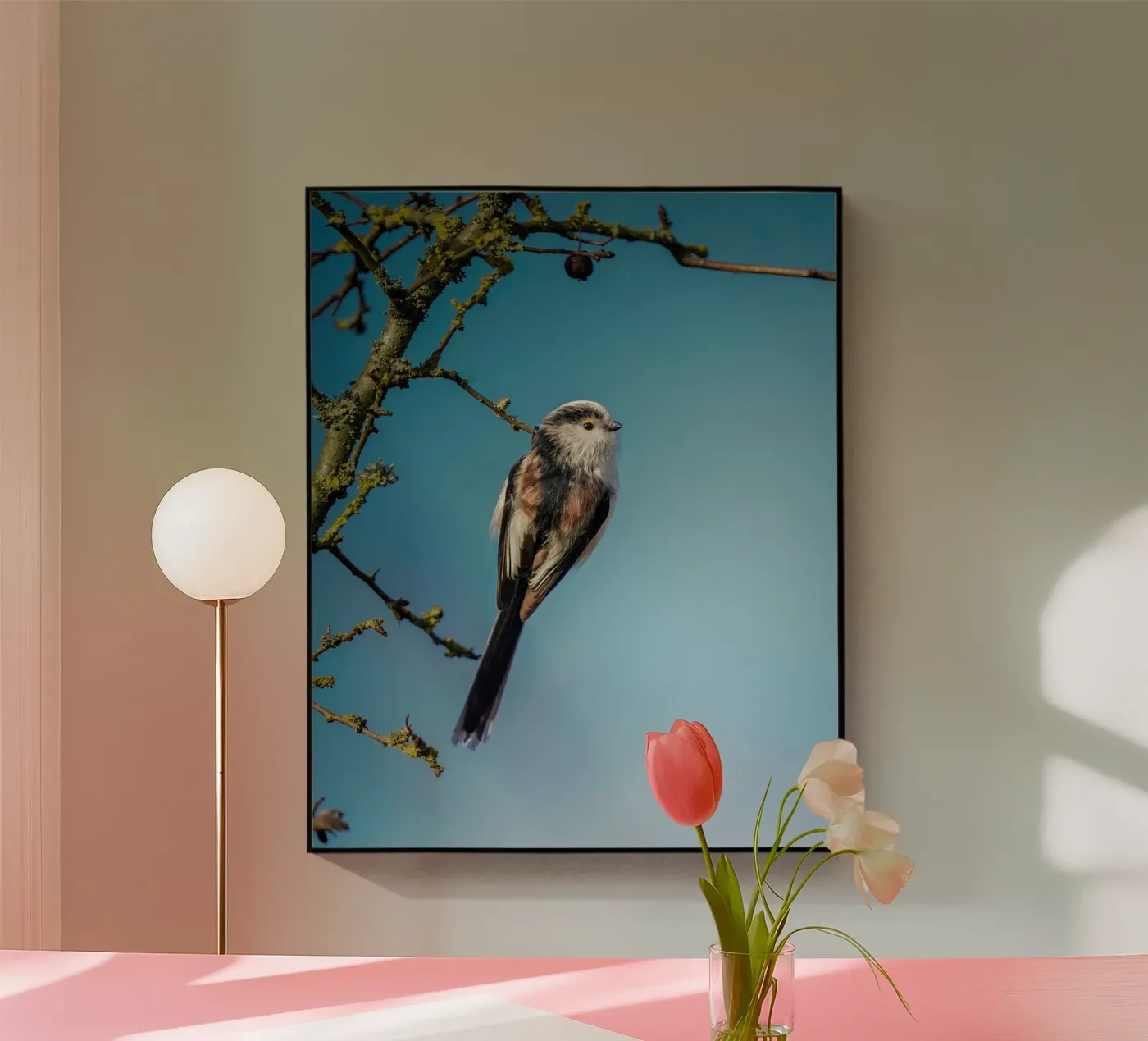 Cinciallegra a coda lunga plexiglass da Tom's Wildlife