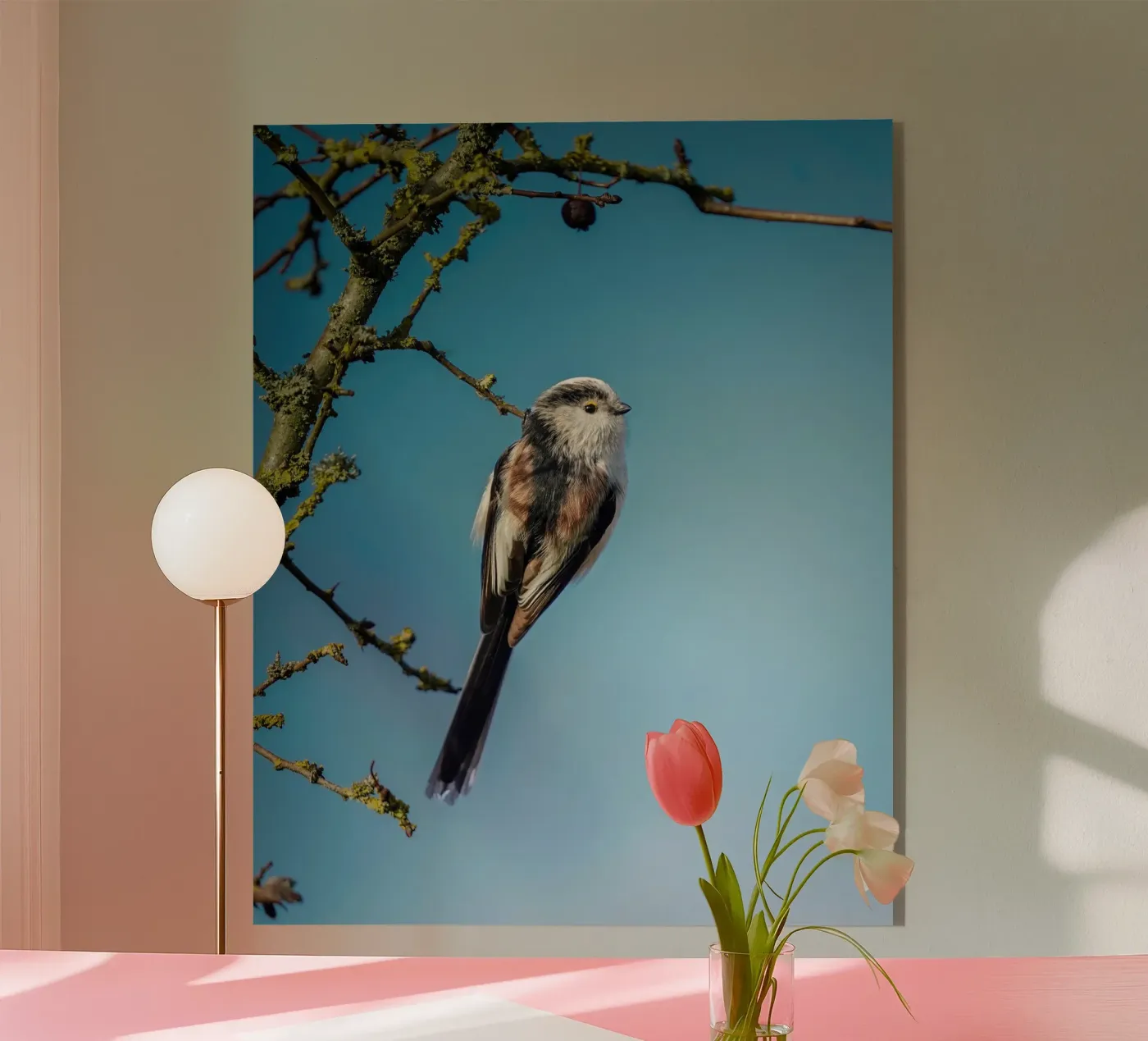 Cinciallegra a coda lunga plexiglass da Tom's Wildlife