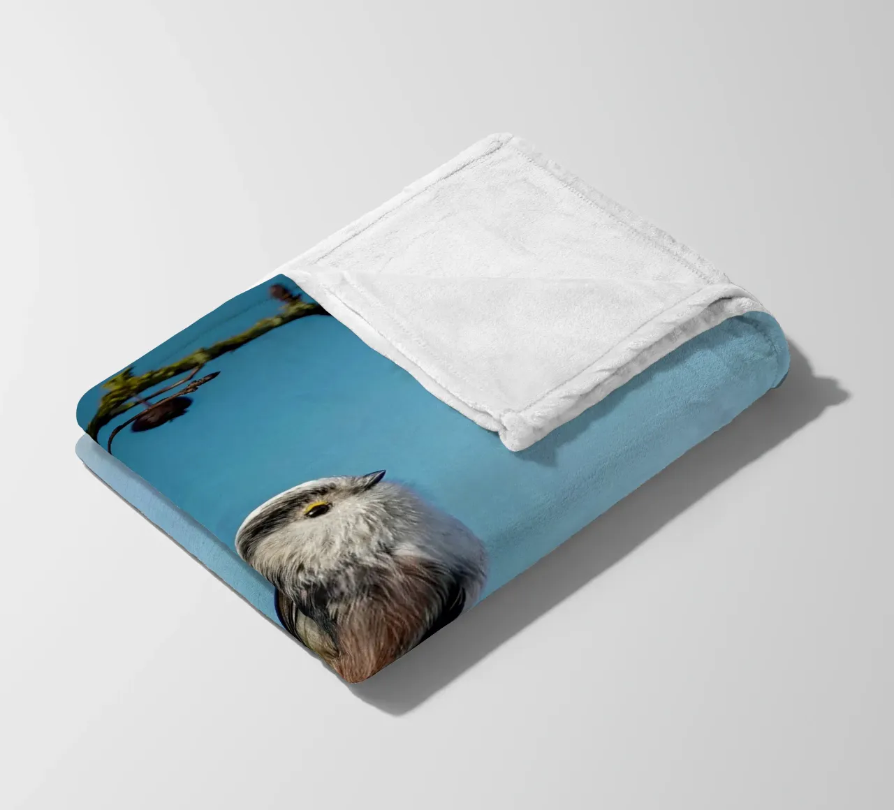 Cinciallegra a coda lunga coperta in pile da Tom's Wildlife