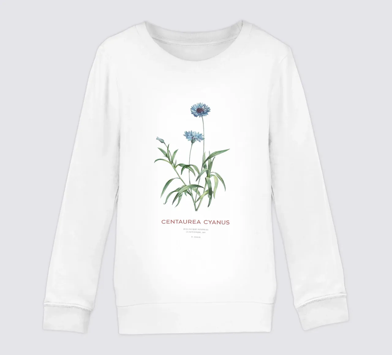 Kornblume oder Centaurea cyanus Kinder Sweatshirt von Vintagrafica