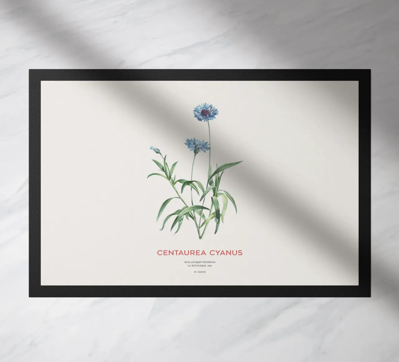 Kornblume oder Centaurea cyanus Fußmatte von Vintagrafica
