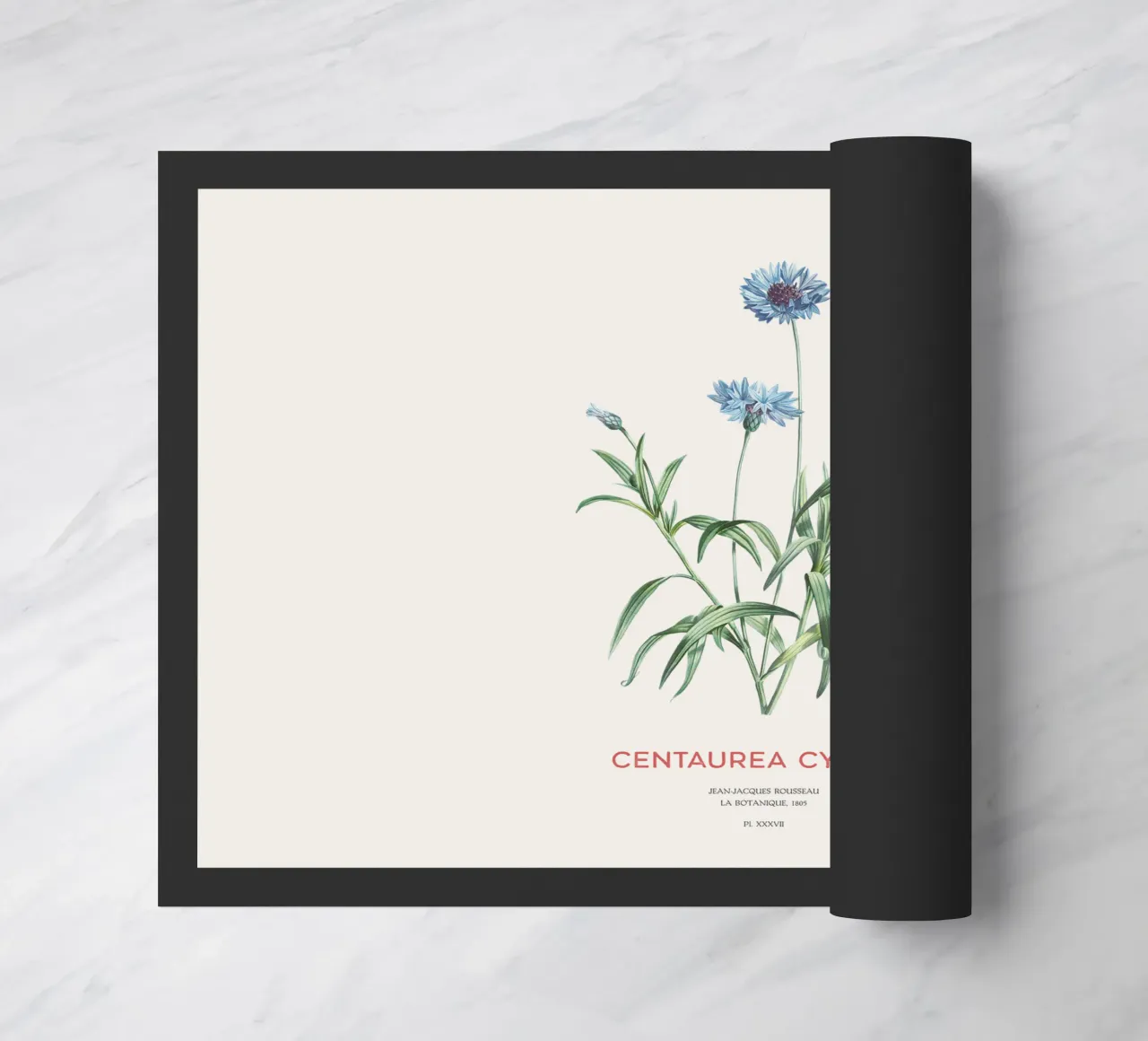 Kornblume oder Centaurea cyanus Fußmatte von Vintagrafica