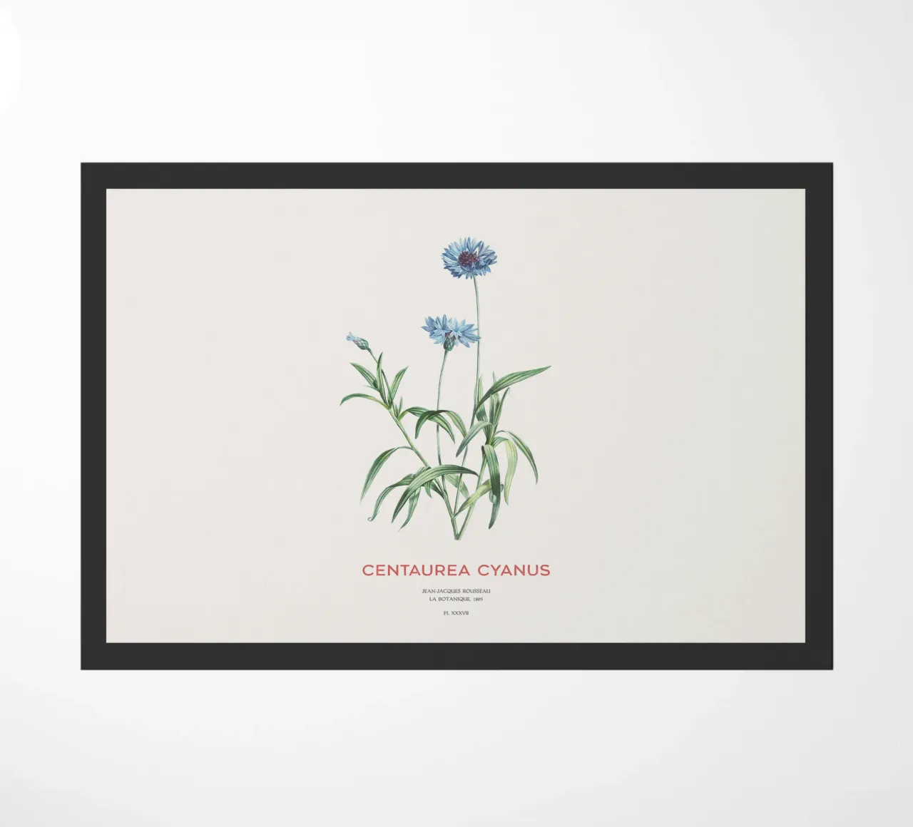 Kornblume oder Centaurea cyanus Fußmatte von Vintagrafica