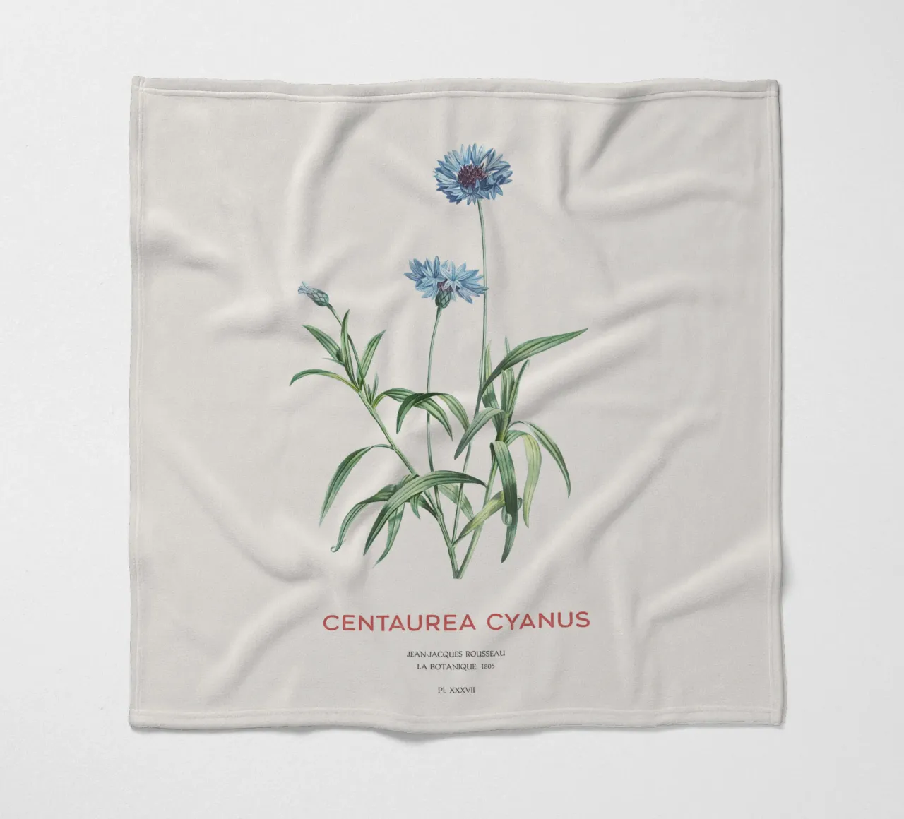 Kornblume oder Centaurea cyanus Fleecedecke von Vintagrafica