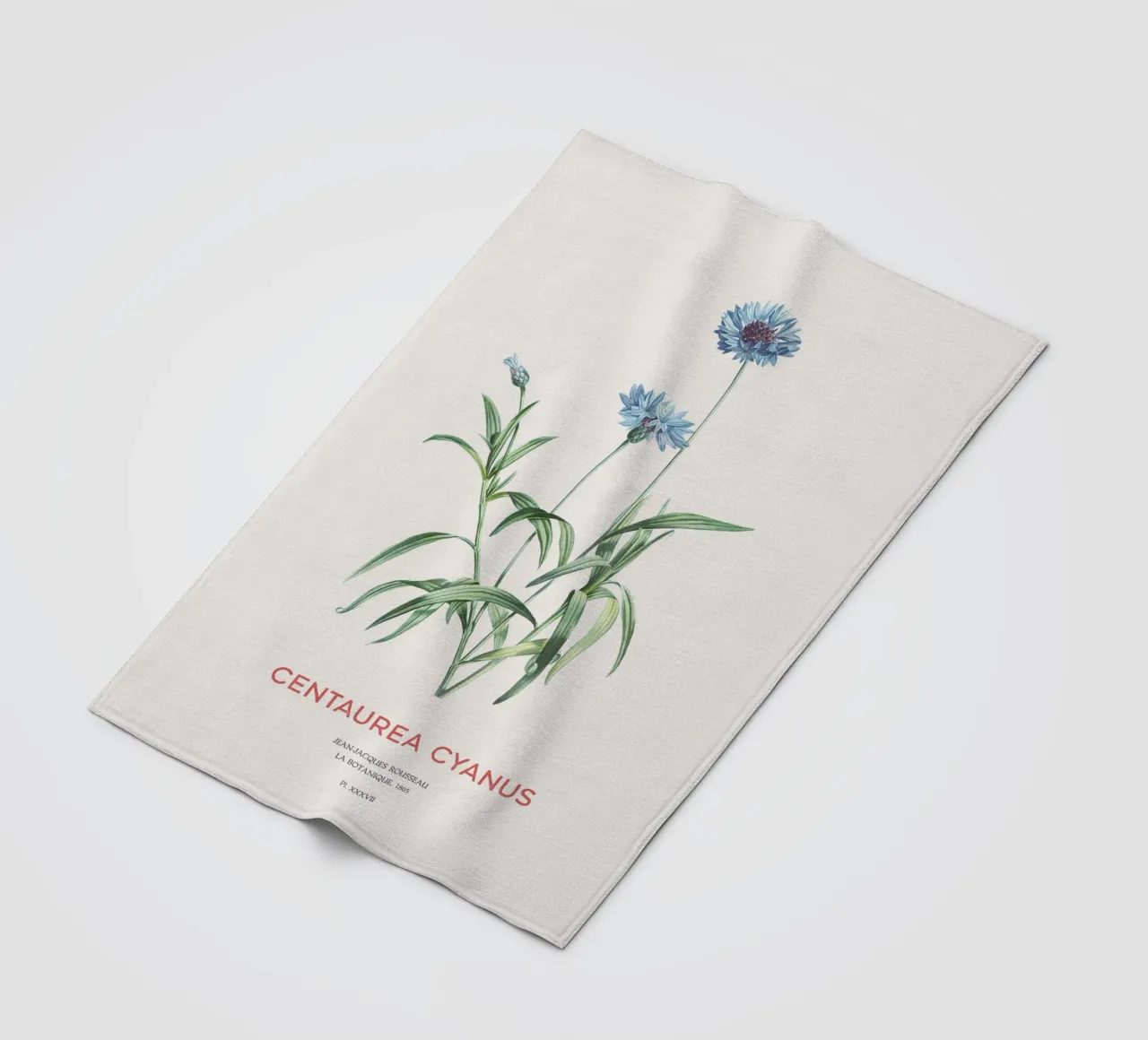 Kornblume oder Centaurea cyanus Fleecedecke von Vintagrafica