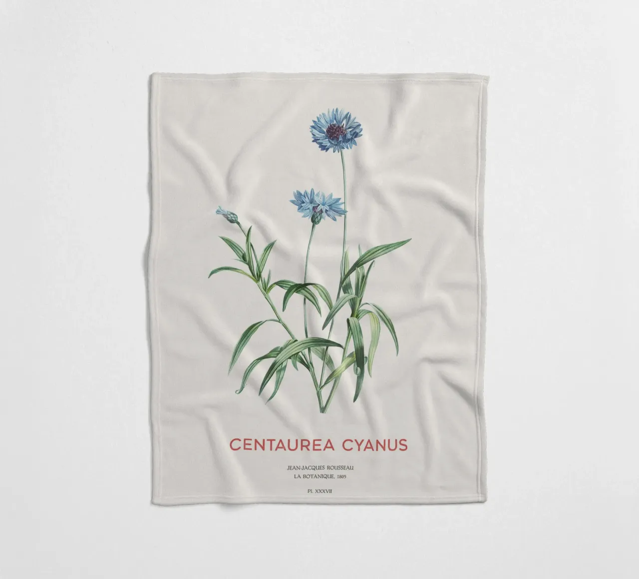 Kornblume oder Centaurea cyanus Fleecedecke von Vintagrafica