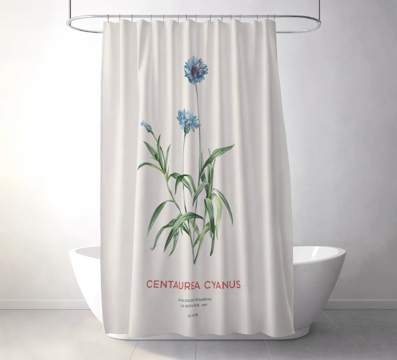 Kornblume oder Centaurea cyanus Duschvorhang von Vintagrafica