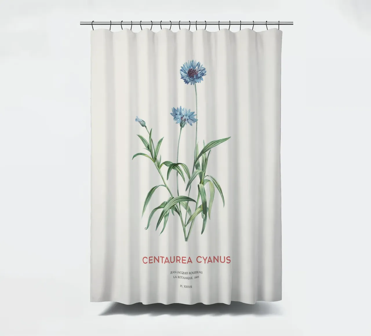 Kornblume oder Centaurea cyanus Duschvorhang von Vintagrafica