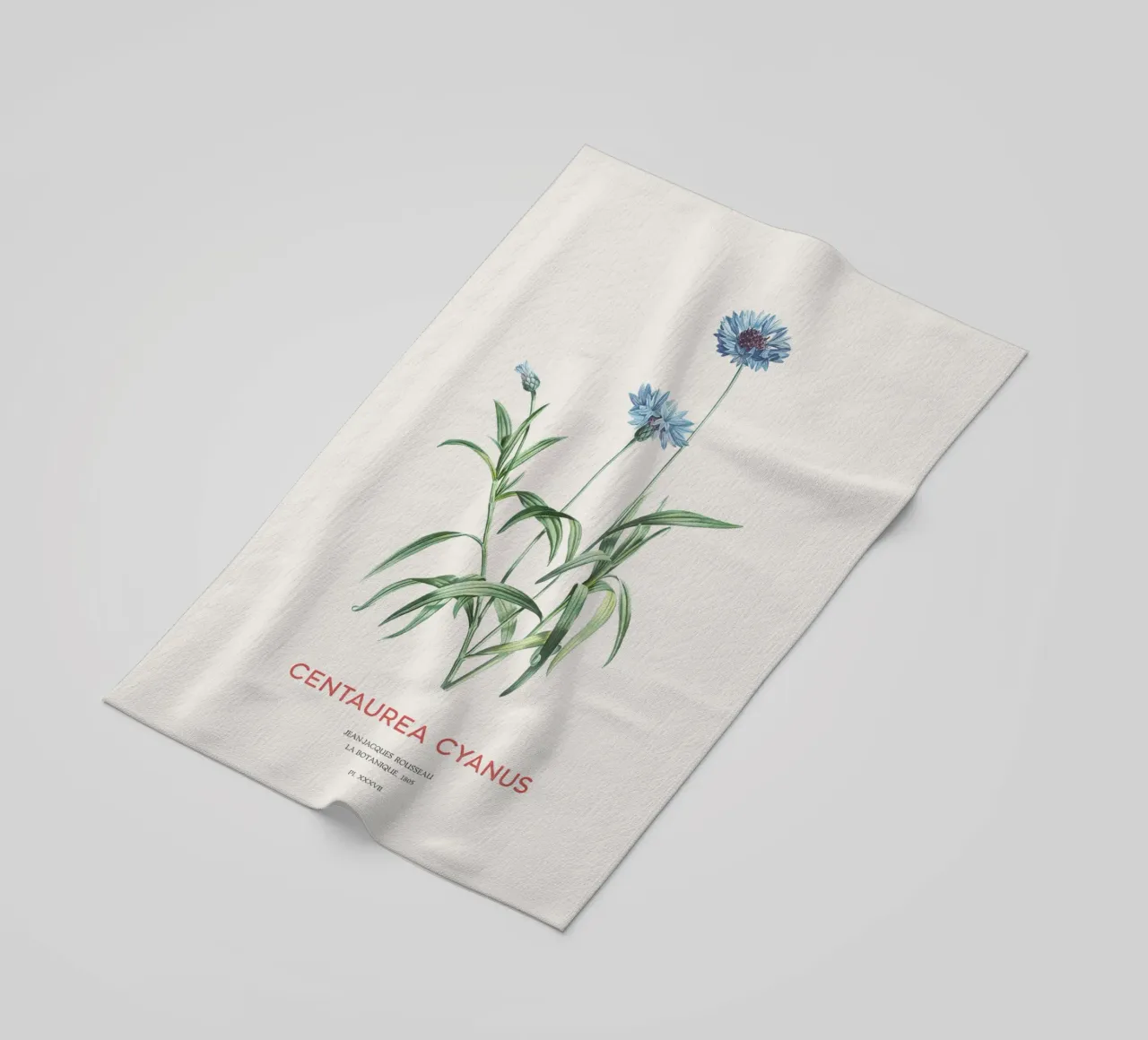 Kornblume oder Centaurea cyanus Strandtuch von Vintagrafica
