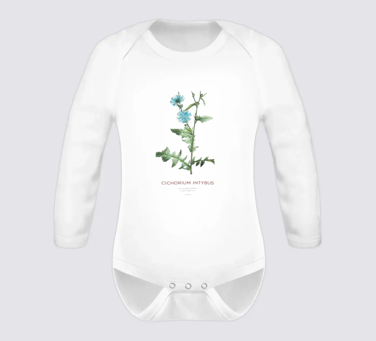 Cicoria o Cichorium intybus body neonato maniche lunghe da Vintagrafica