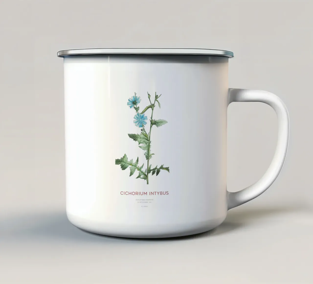 Cicoria o Cichorium intybus tazza in smalto da Vintagrafica