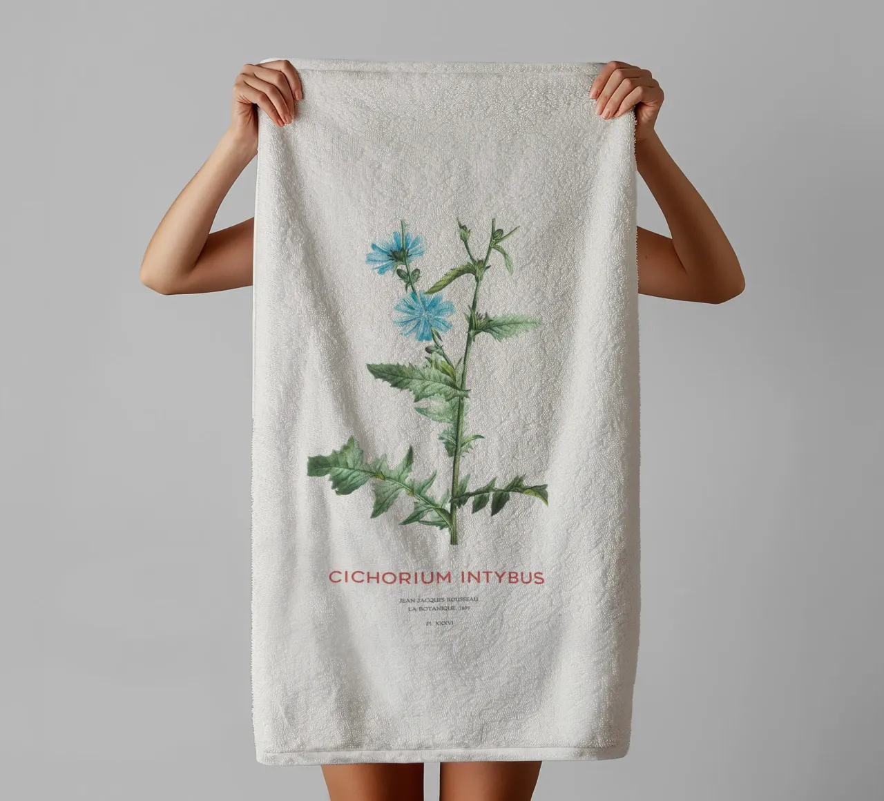 Zichorie oder Cichorium intybus Handtuch von Vintagrafica