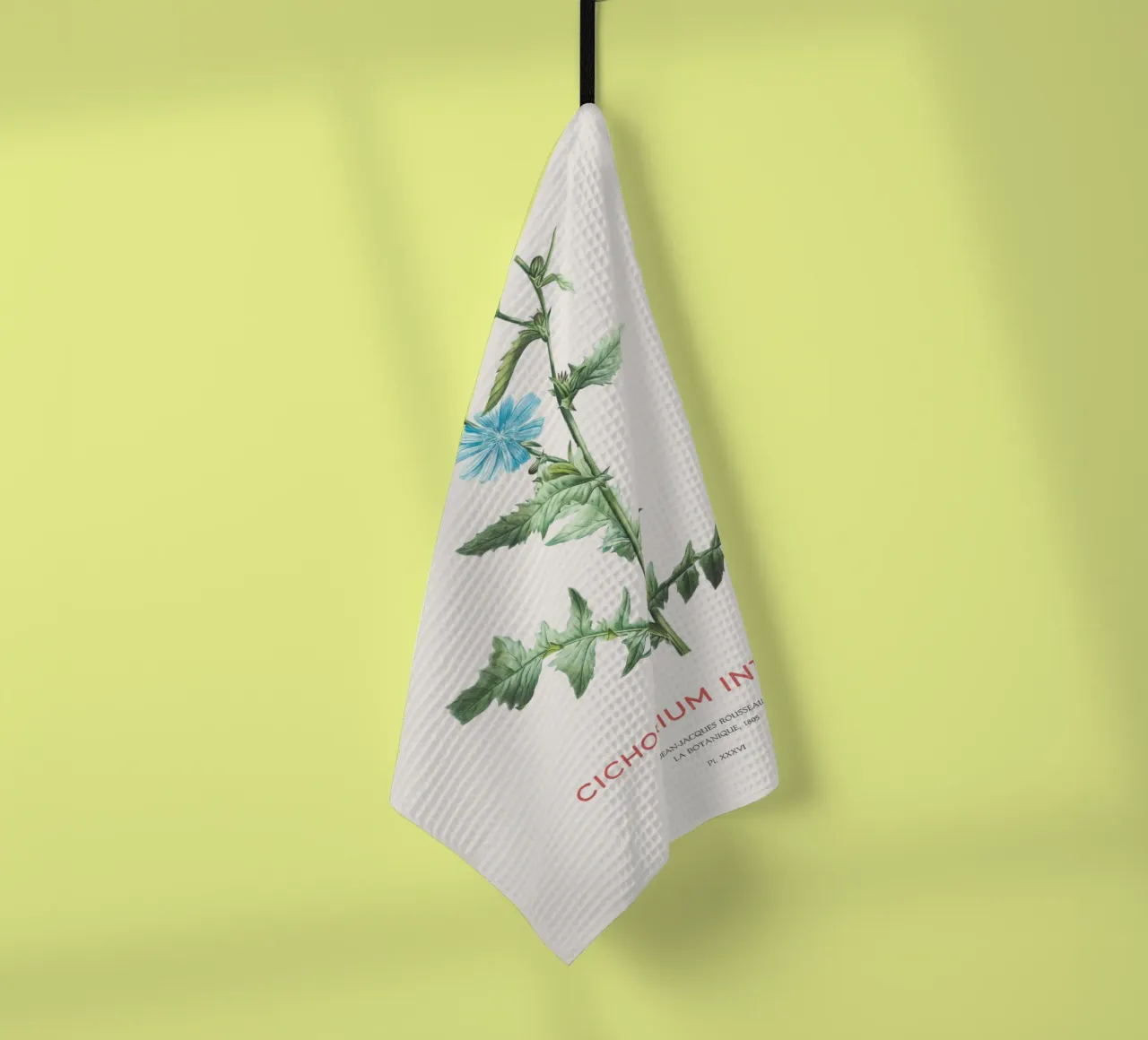 Zichorie oder Cichorium intybus Geschirrtuch von Vintagrafica