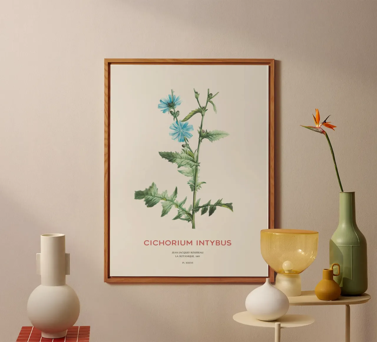 Cicoria o Cichorium intybus alluminio dibond da Vintagrafica