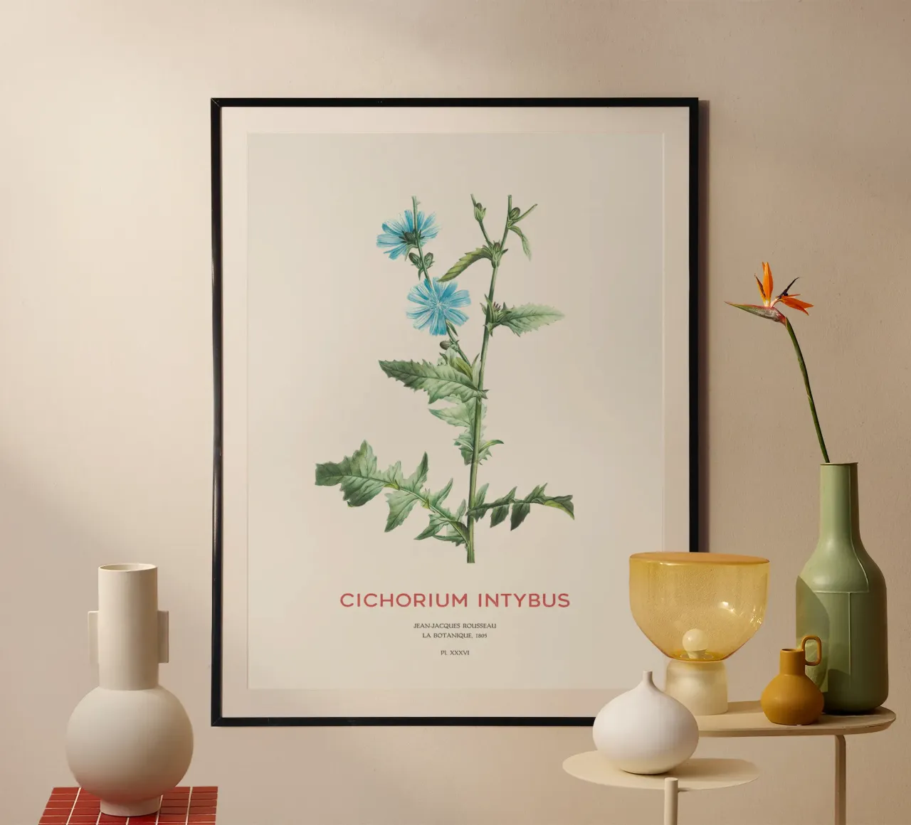 Zichorie oder Cichorium intybus Hahnemühle von Vintagrafica