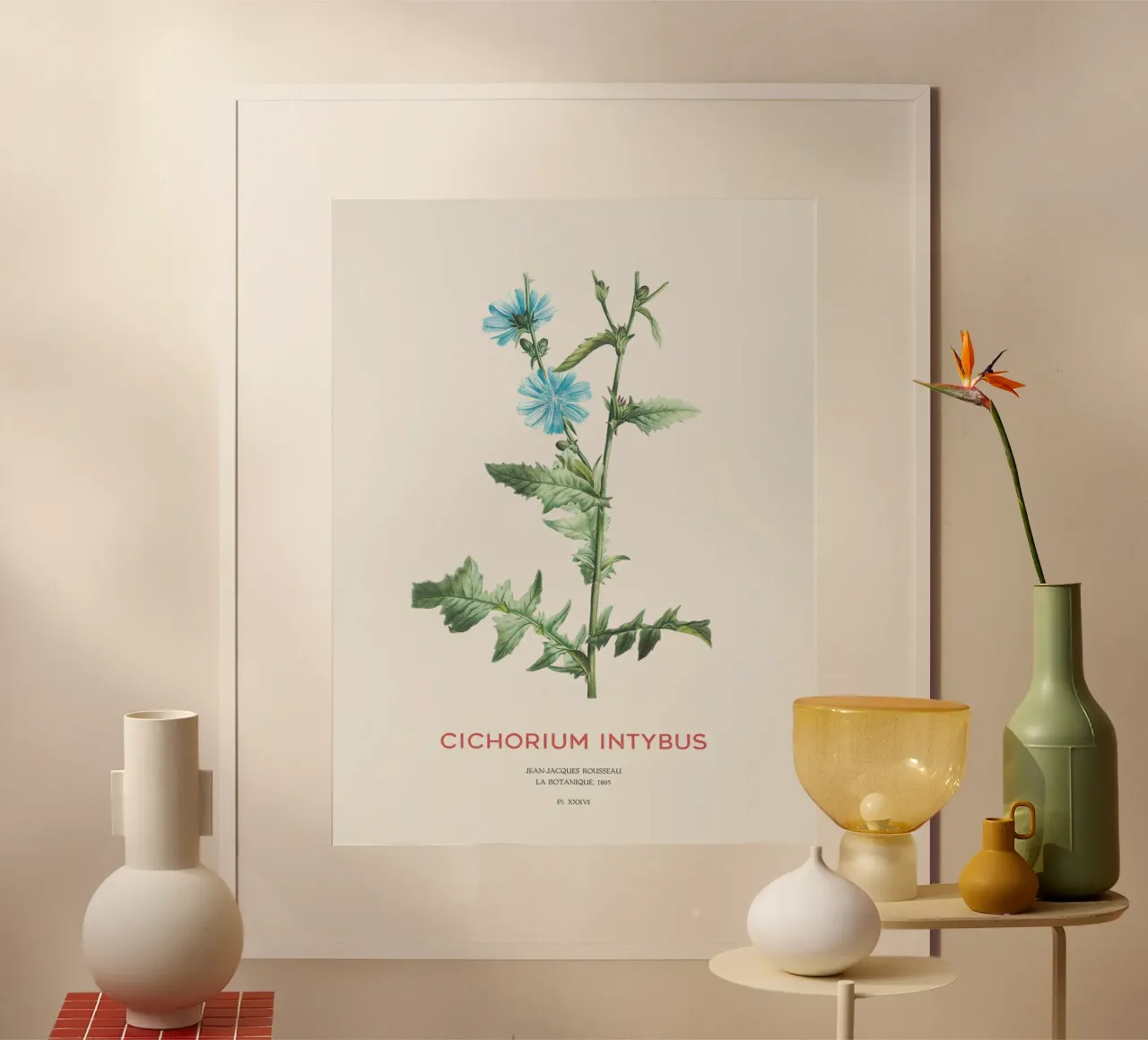 Zichorie oder Cichorium intybus Hahnemühle von Vintagrafica