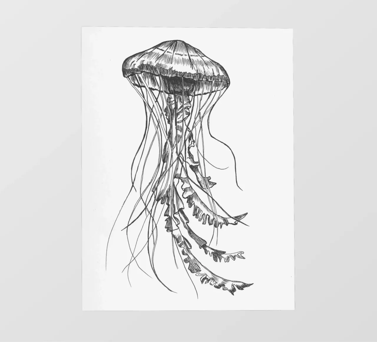 Qualle 1 pvc cover by naturelines