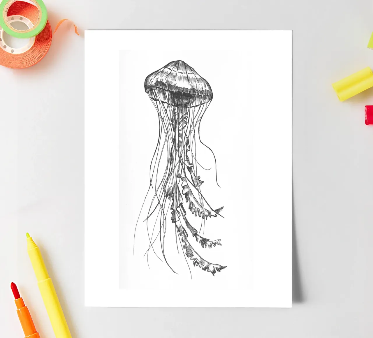 Qualle 1 sticker sheet by naturelines