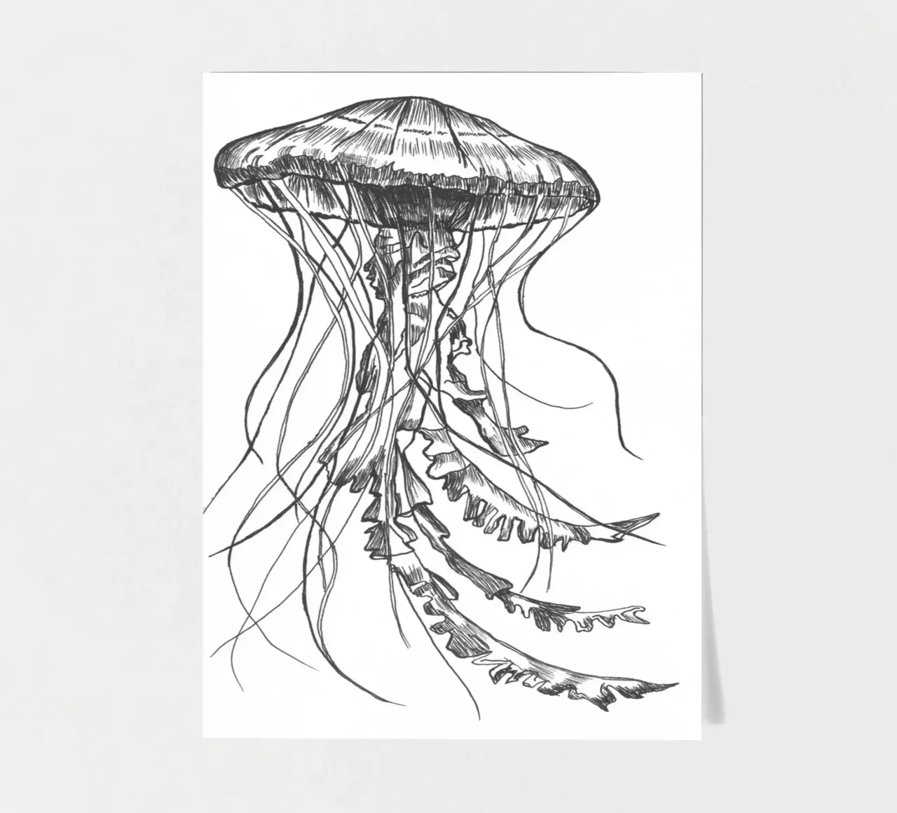 Qualle 1 sticker sheet by naturelines