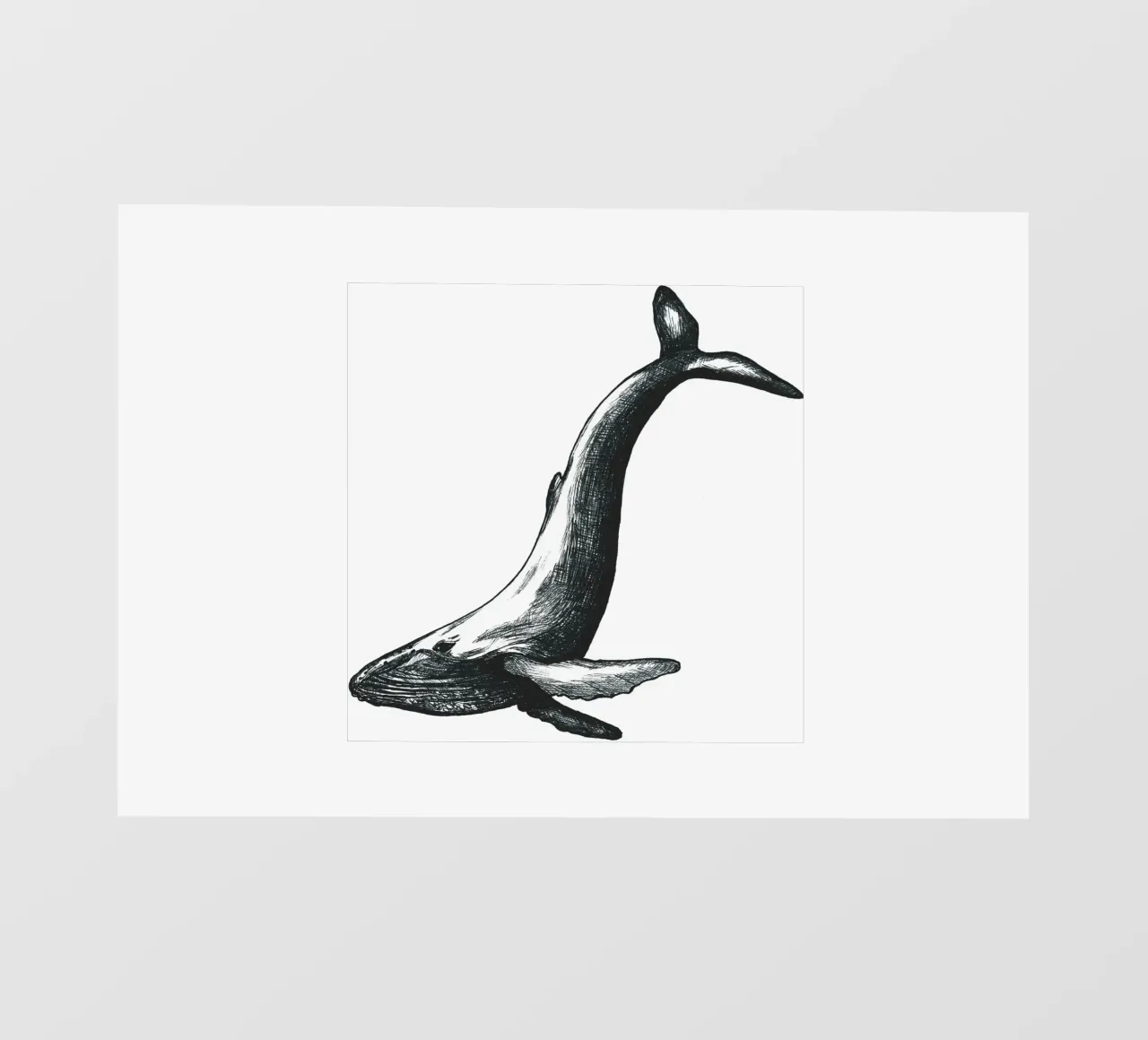 Wal pellicola backlit da naturelines