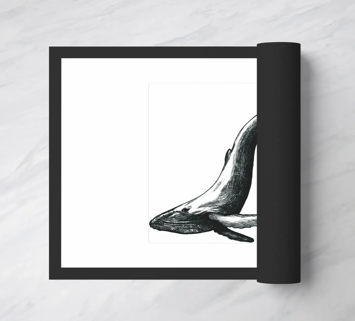 Wal zerbino da naturelines