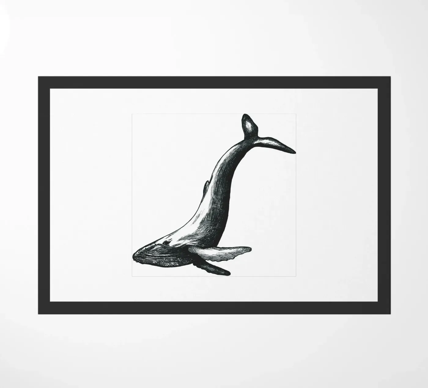 Wal zerbino da naturelines