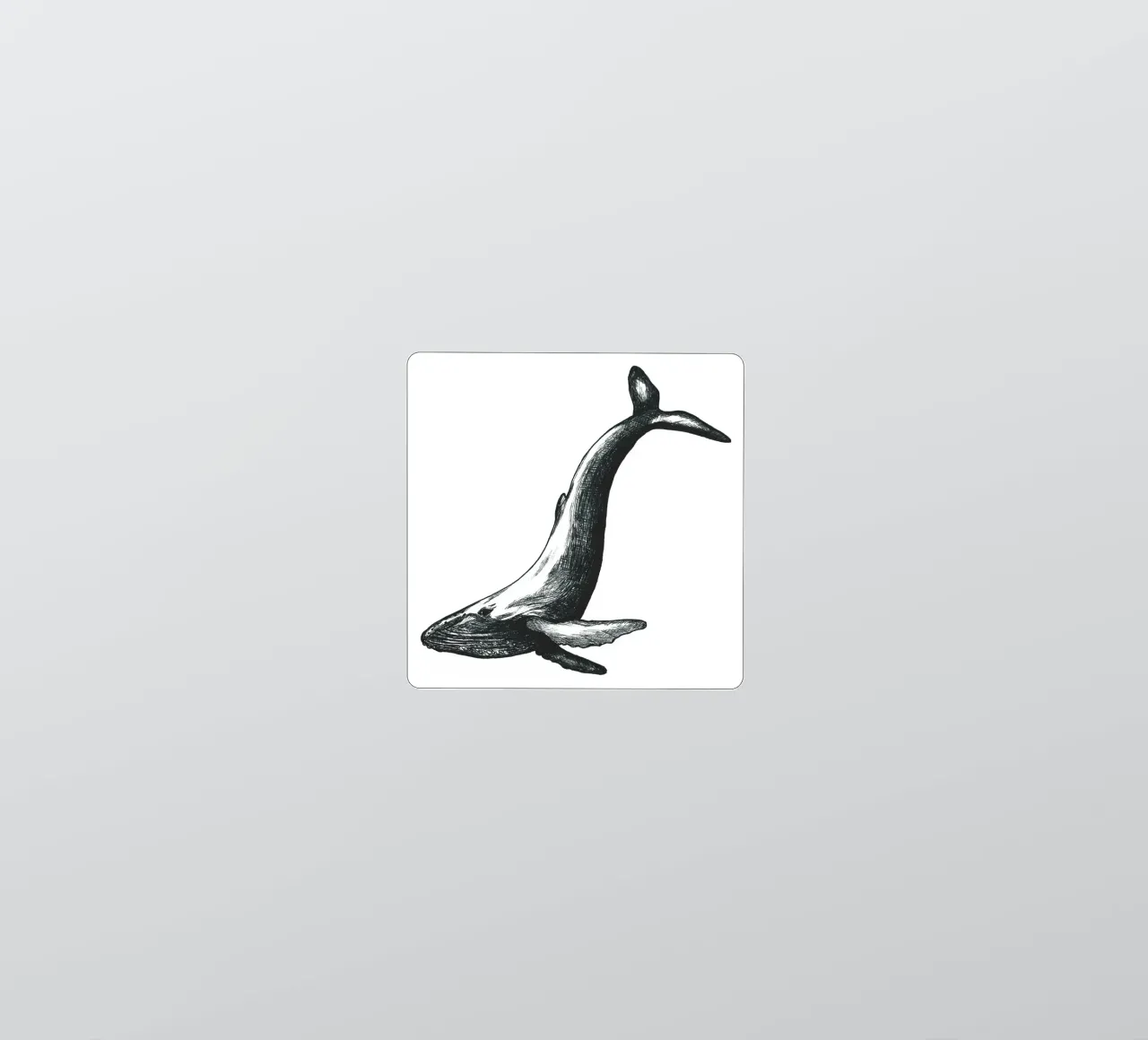 Wal sticker by naturelines