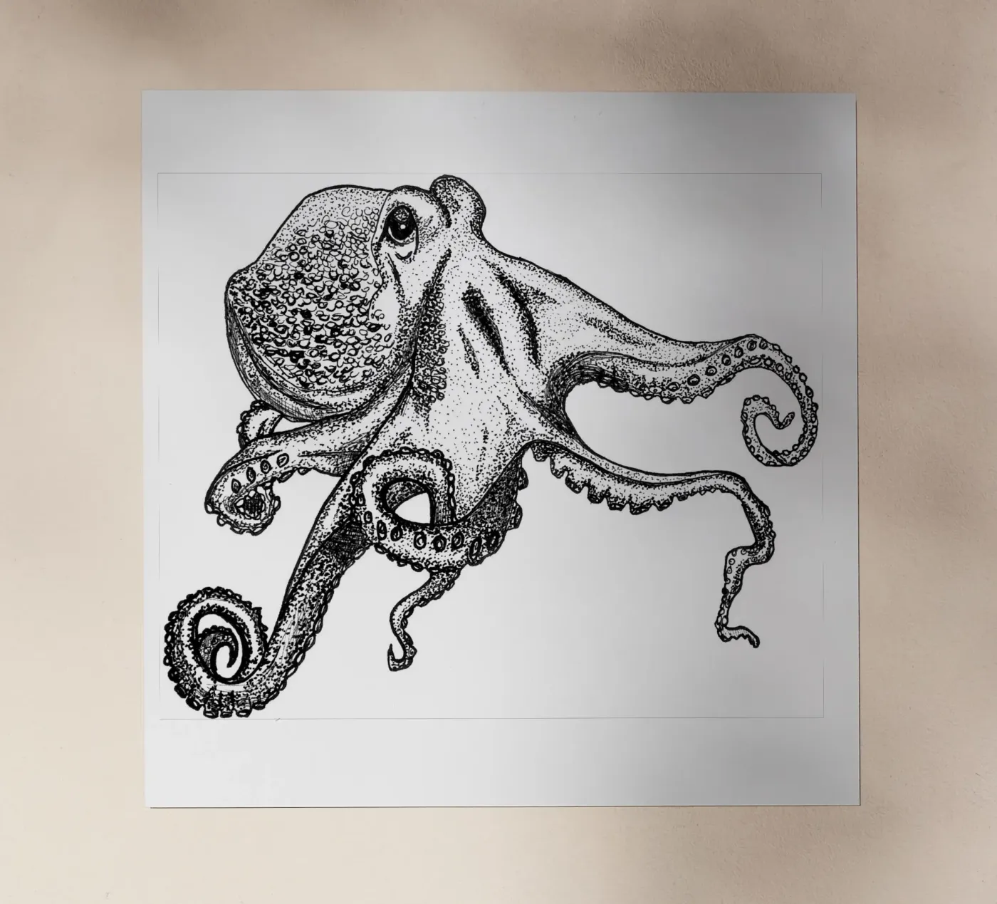 Oktopus pellicola backlit da naturelines