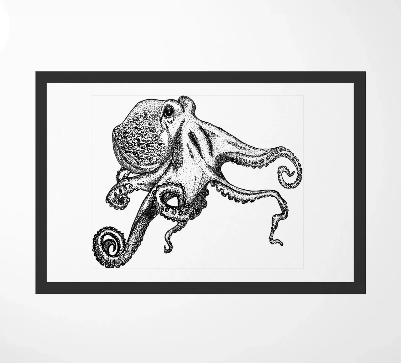 Oktopus zerbino da naturelines