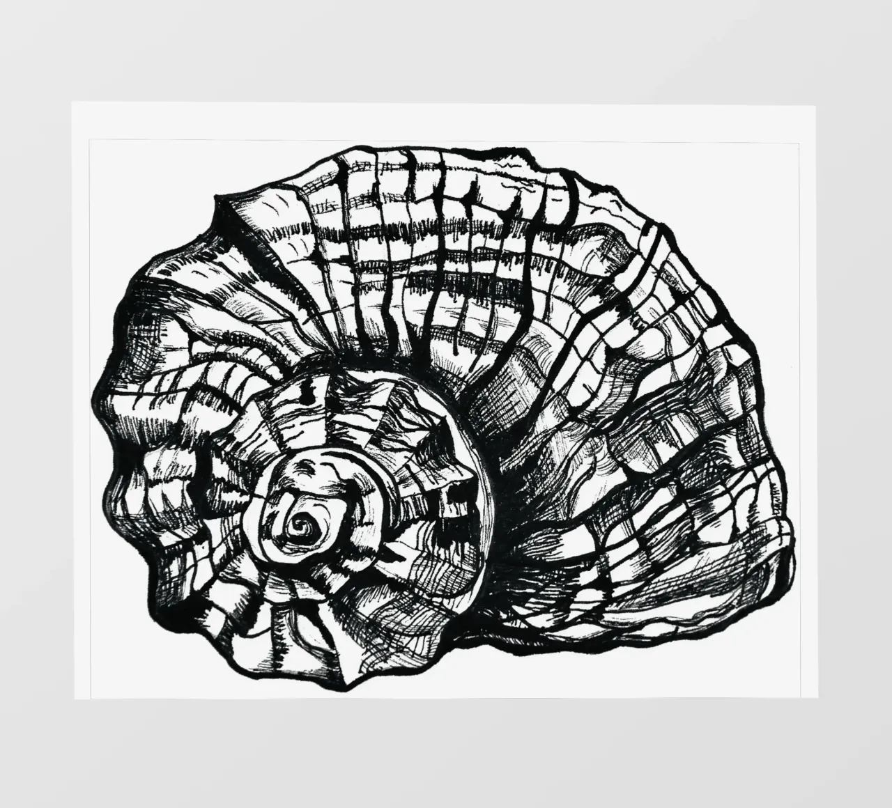 Schnecke photo wallpaper by naturelines