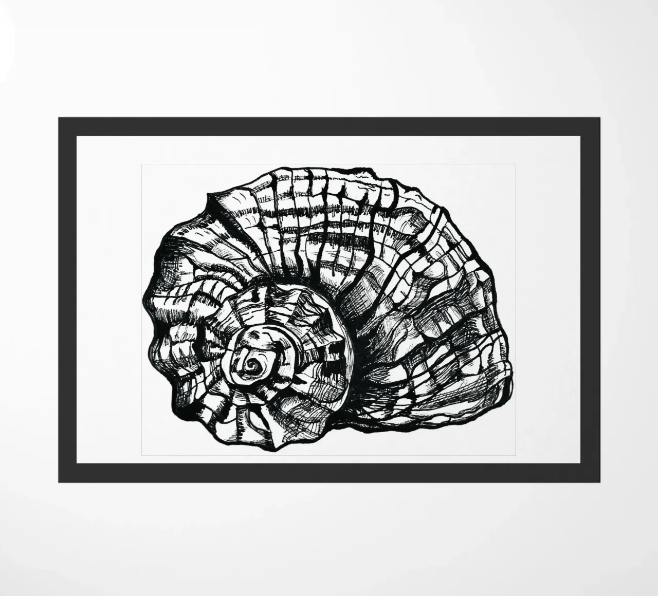 Schnecke zerbino da naturelines