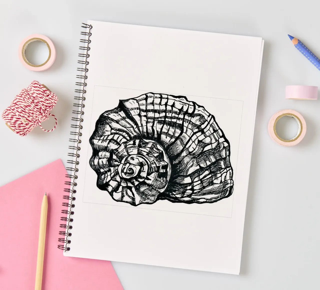 Schnecke spiral notebook by naturelines