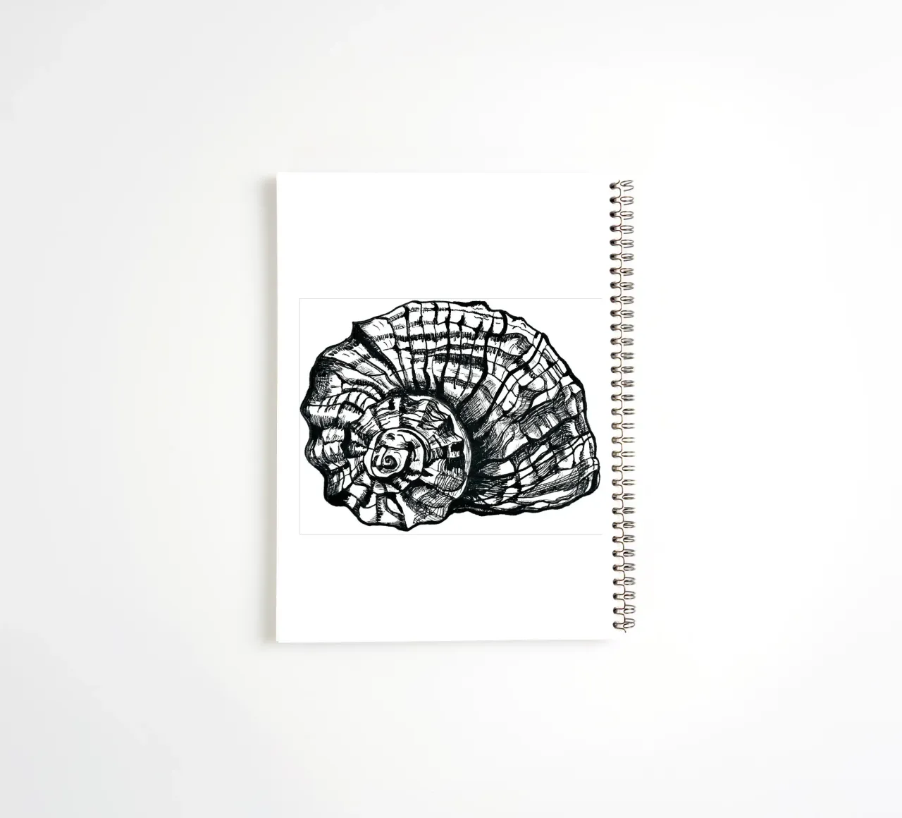 Schnecke spiral notebook by naturelines