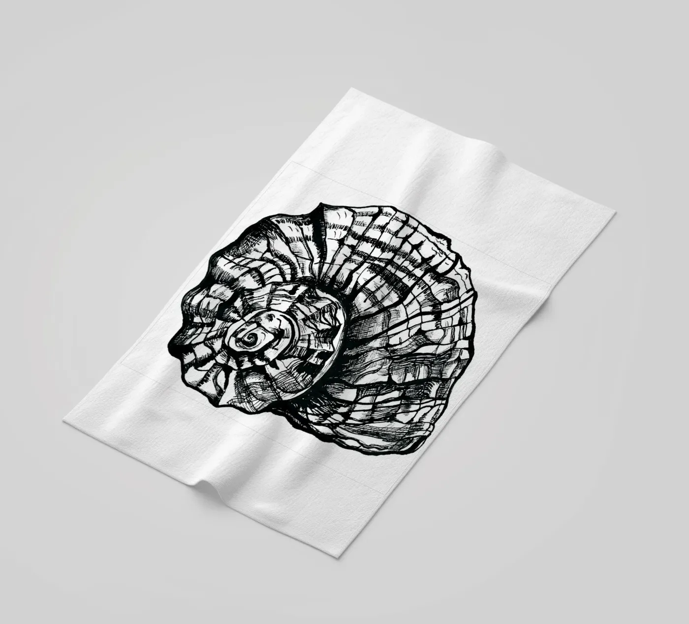 Schnecke telo mare da naturelines