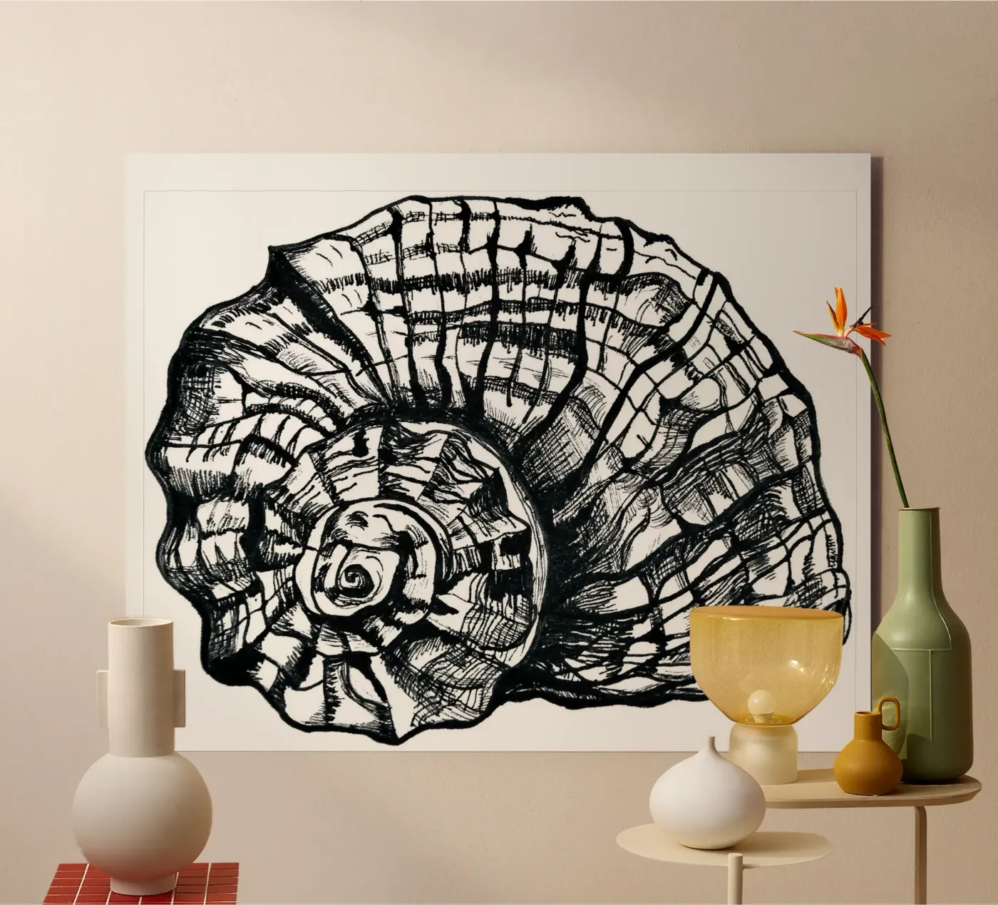 Schnecke forex plate by naturelines
